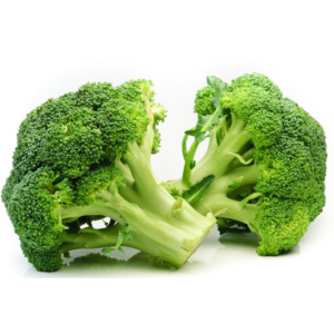 Top Selling Fresh Broccoli Available in Bulk | Premium Frozen Broccoli Florets – Naturally Green & Ready-to-Cook
