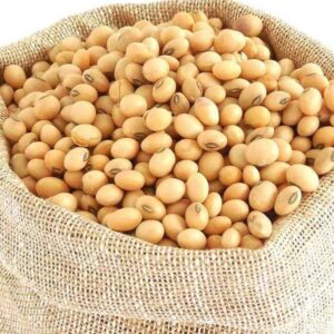 Wholesale Soya Beans Style Dried Place Of Origin Kenya Place of Origin Kenya Cultivation Type Common Processing Method Machine Cleaned