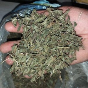 Dried Nettle Leaf TBC Grade FOOD Color GREEN Packaging HDPE BAGS Shelf Life 24 MONTHS Max. Moisture (%) 8% Place of Origin INDIA